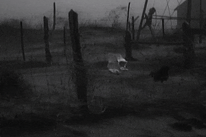 crashthecalm devils crash the calm a town named nowhere dust bowl GIF