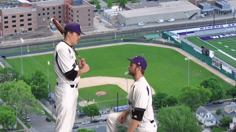 Baseball Warriors GIF by WinonaStateATH