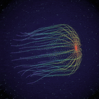 Jellyfish GIF