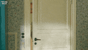 Tv2 Entering GIF by Badehotellet