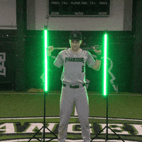 Parkside Baseball GIF by Parkside Athletics