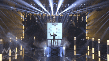 Celebration Winner GIF by BASILISK Research