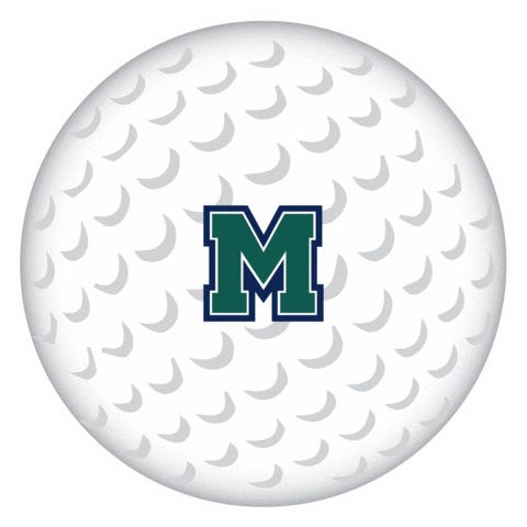 Hurstathletics Sticker by MercyhurstU
