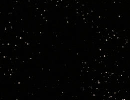 home movie intro GIF by MANGOTEETH