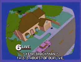 season 6 aerial shot of simspon home GIF