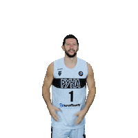 Basketball Basket Sticker by PBC Runa-basket