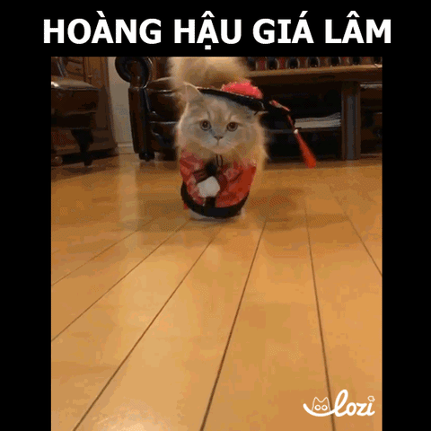 GIF by Lozi Singapore Co.