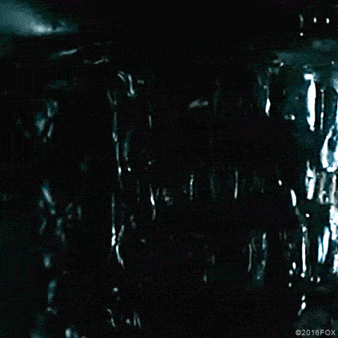 ridley scott xenomorph GIF by foxhorror