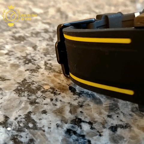 MeuRelogiodeLuxo giphygifmaker GIF