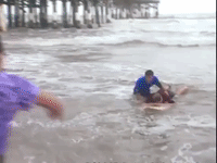 the mystery files of shelby woo nicksplat GIF