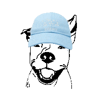 thepibblemovement dog puppy caps pitbull Sticker