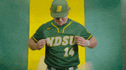 North Dakota State Baseball GIF by NDSU Athletics