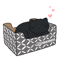 If I Fits I Sits Black Cat Sticker by Hide & Scratch