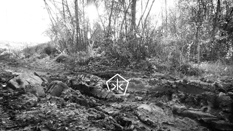 mad black and white GIF by Okkult Motion Pictures