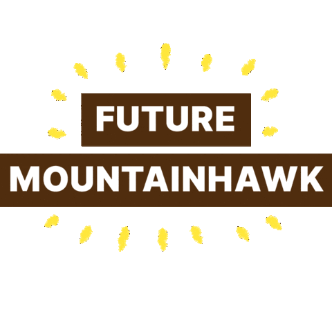 Lehighu Sticker by Lehigh University