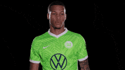 Sport Love GIF by VfL Wolfsburg