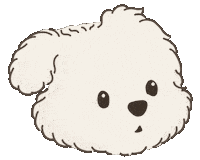 Koko Sticker