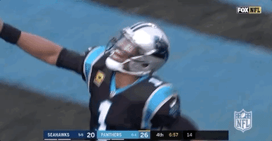 2018 nfl football GIF by NFL