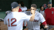 jd hug GIF by MLB