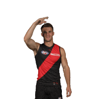 Dons Bombers Sticker by Essendon FC
