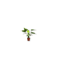 Boozed plant floral styling planten Sticker