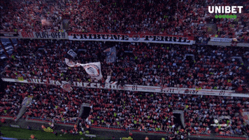 Pro League Football GIF by Unibet Belgium