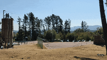 Tirolina GIF by Aventeira