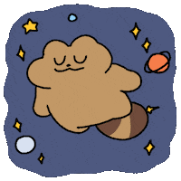 Neoverave space sleep dream 너구리 GIF