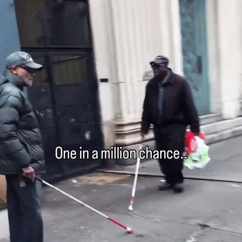 New York What GIF by Respective