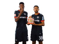 Bayer 04 Popcorn Sticker by Bayer 04 Leverkusen