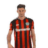 Bayer 04 No Sticker by Bayer 04 Leverkusen