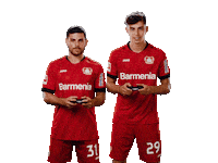 Bayer 04 Fun Sticker by Bayer 04 Leverkusen