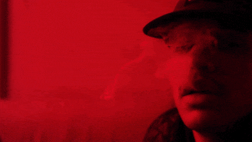 stoned sub pop GIF by Sub Pop Records
