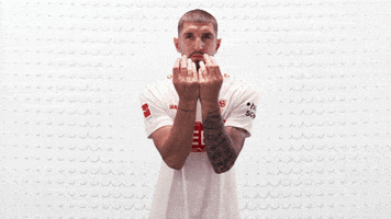 Vfb Stuttgart Football GIF by Bundesliga