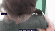 Blastpremier GIF by BLAST