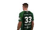 hsgwetzlar handball-bundesliga wetzlar hsg wetzlar hsgwetzlar Sticker