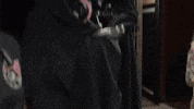 camera lauren GIF by RocketJump