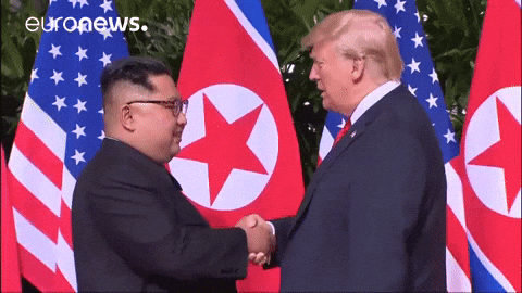 Donald Trump GIF by euronews