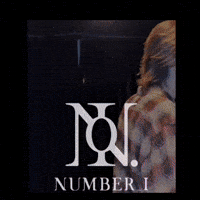 Numberi Fuji GIF