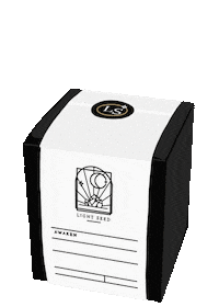 lightseed magic candles light seed light seed nz Sticker