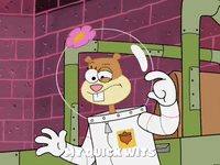 season 5 the inmates of summer GIF by SpongeBob SquarePants