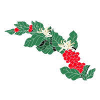 Fairtrade Clac Sticker by CLACcomerciojusto