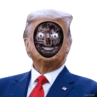 Obey Donald Trump Sticker by Sholim