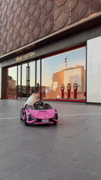 hilariadulcinea animals dogs auto diva GIF