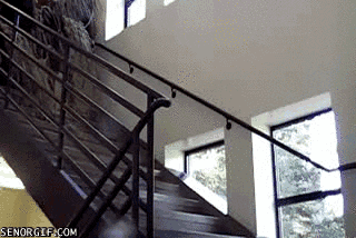 over 9000 stairway GIF by Cheezburger