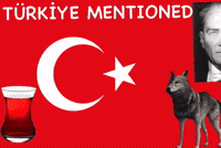 V8LTT wolf turkey turkiye türkiye GIF