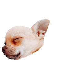 Tired Puppy Sticker