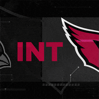 Football Nfl GIF by Arizona Cardinals