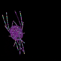 parametrip animation space stars scifi GIF