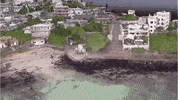 Geomapping GIF by The University of Chicago